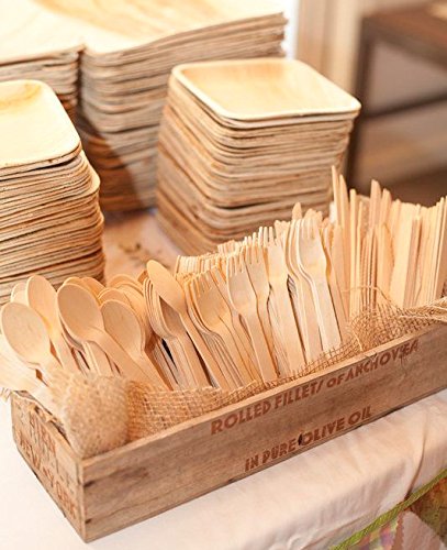 200 Biodegradable Wooden Spoons | Eco Friendly Disposable Cutlery, Compostable, 100% Natural Wood Utensils | Great for Soup, Desserts and Your Toddlers | Made from 100% Birch Wood