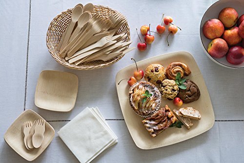 200 Disposable Wooden Forks | Eco Friendly & Biodegradable, Compostable, 100% Natural Birchwood Cutlery (200-Pack Forks) by BloominGoods
