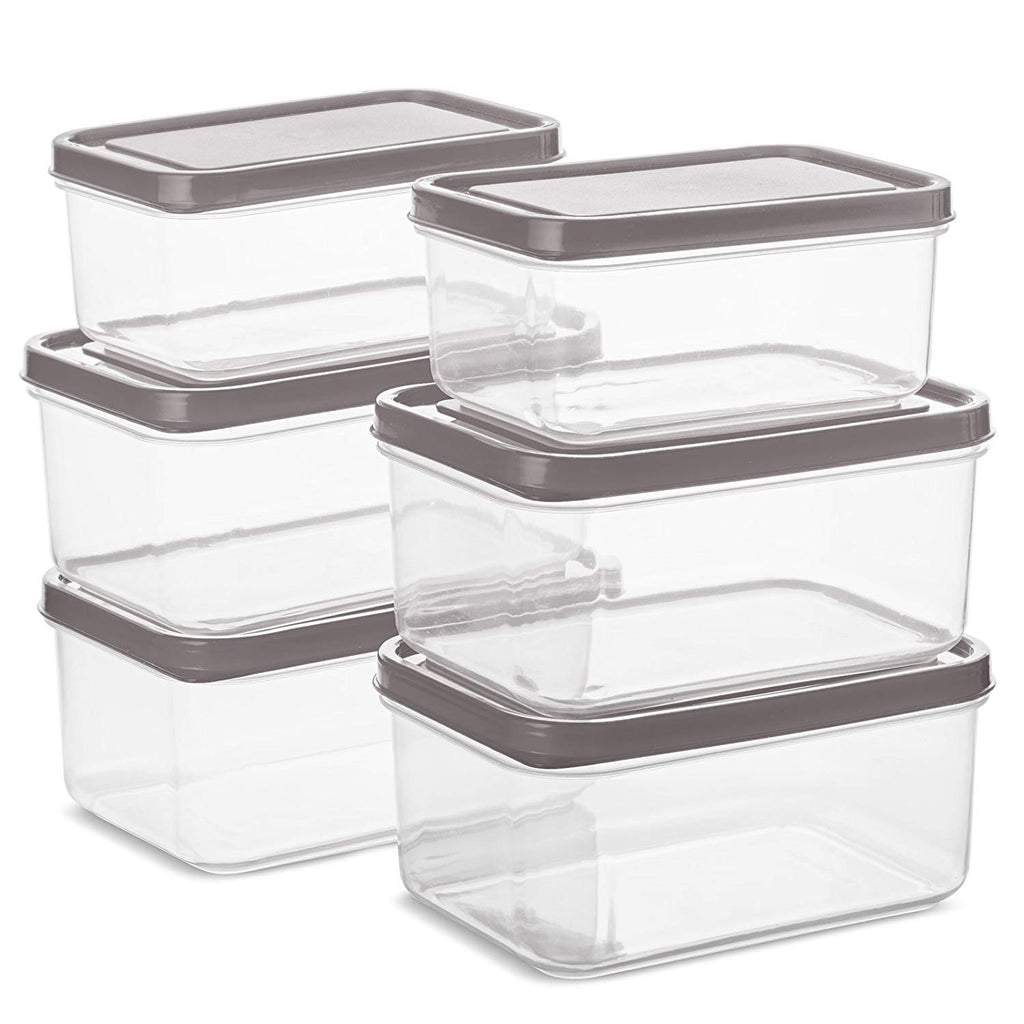 Portion Control Container Replacement Set for BloominGoods Meal Prep Bag | 2 x 1-Cup, 4 x 2-Cup Leak-Proof Containers (Siver)